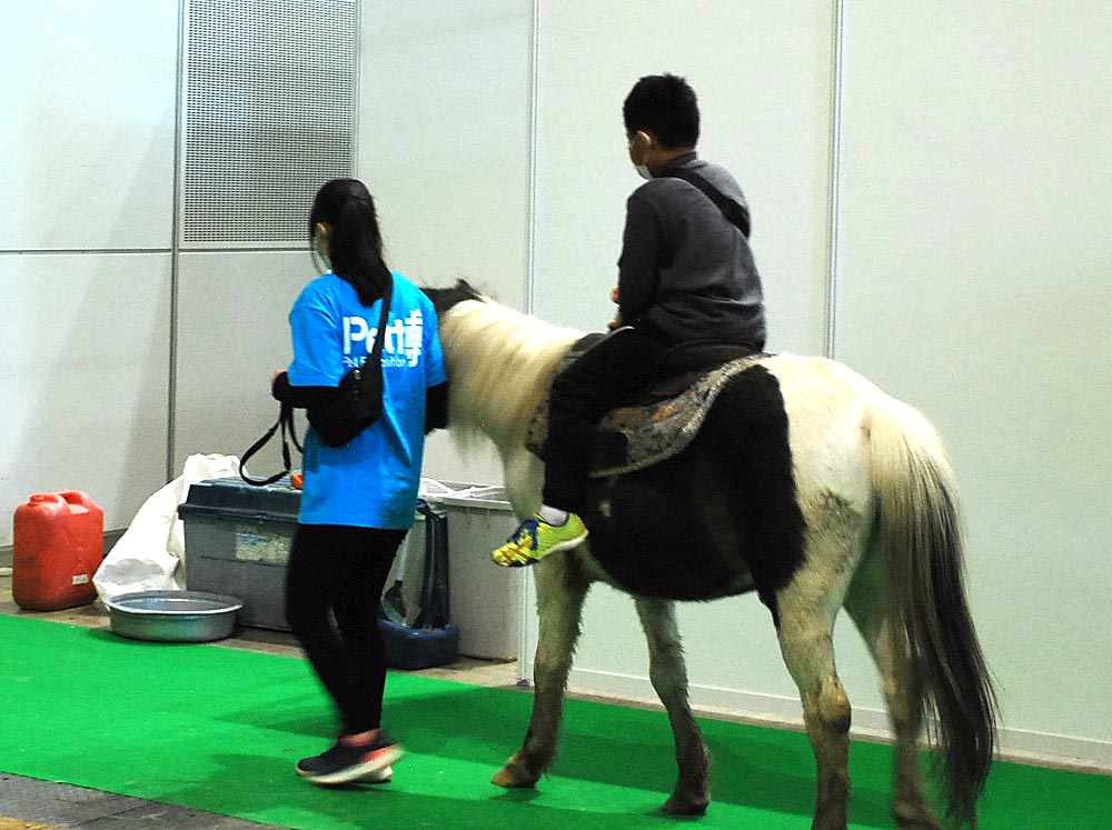 乗馬体験コーナー