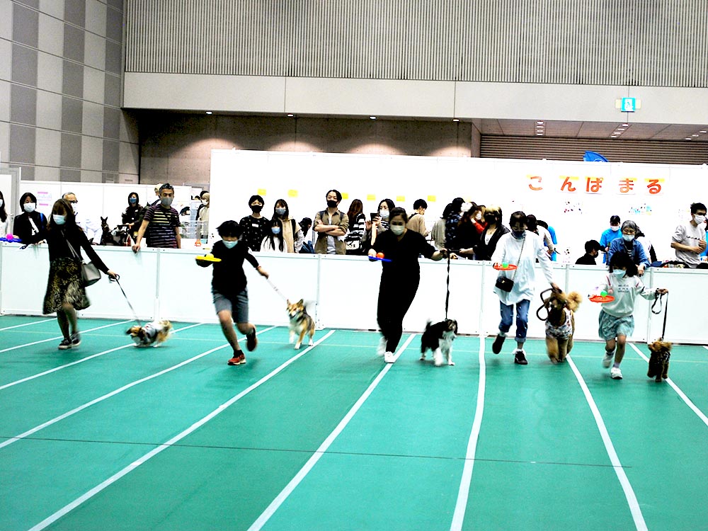 ワンちゃん大運動会