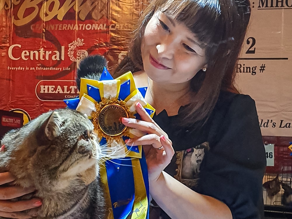 猫の日常の上手なお手入れ