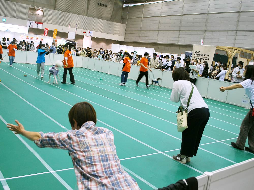 松本秀樹さんプロデュース呼び戻し選手権大会