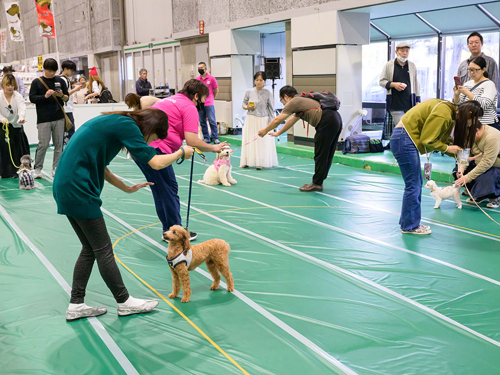 ブリード卒業犬・猫譲渡会