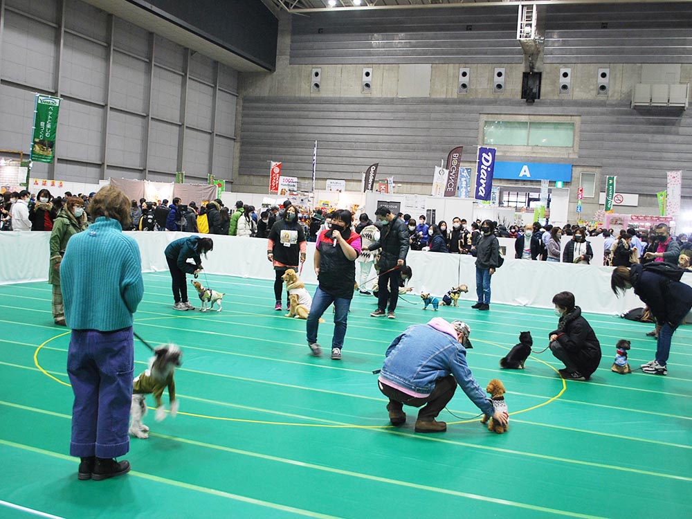 愛犬同伴しつけ教室